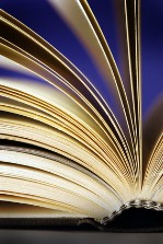 © Mikael Damkier - Fotolia.com